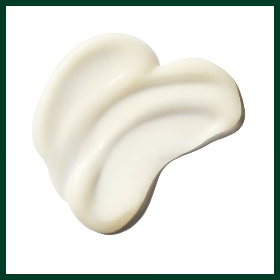 Aveda Be Curly Advanced Co-Wash