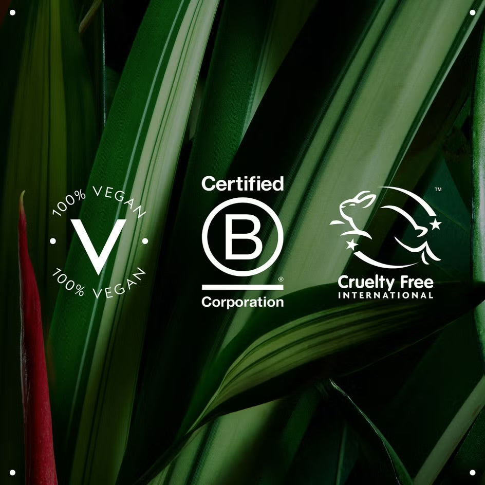 Shampowder Dry Shampoo