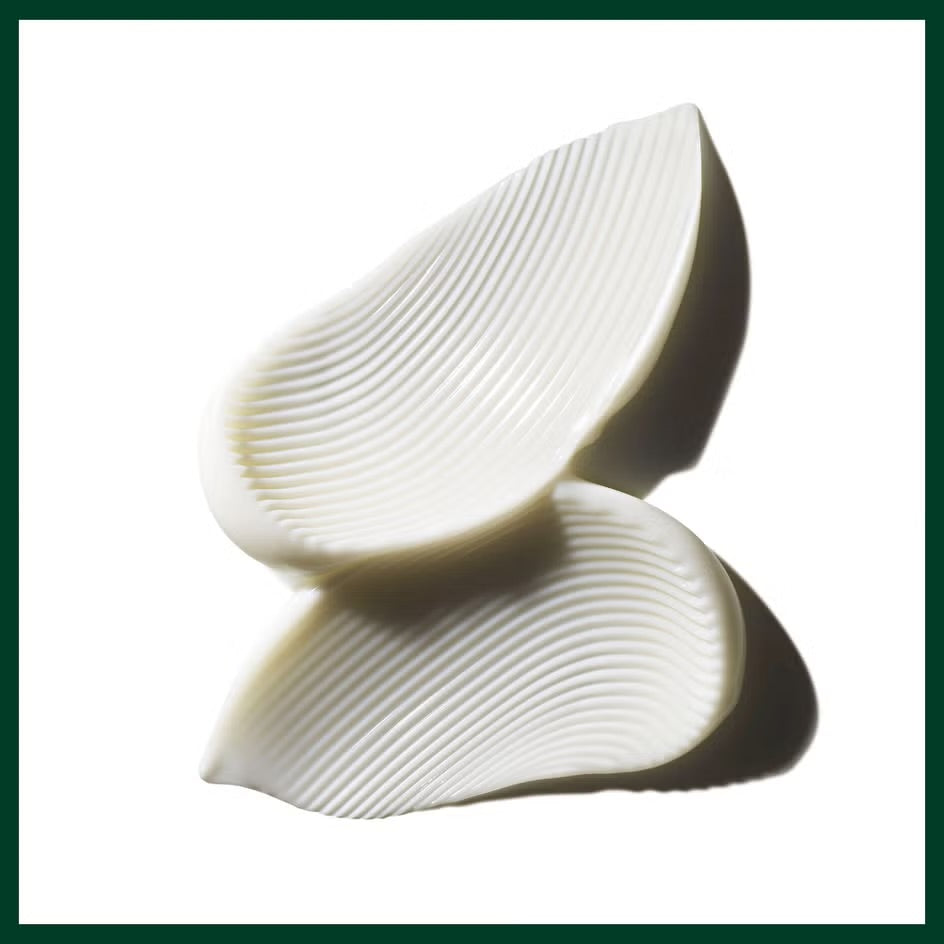 Aveda Color Control Conditioner