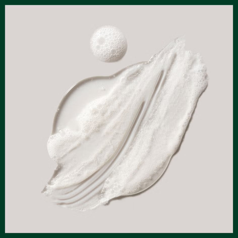 Aveda Shampure™ Nurturing Shampoo