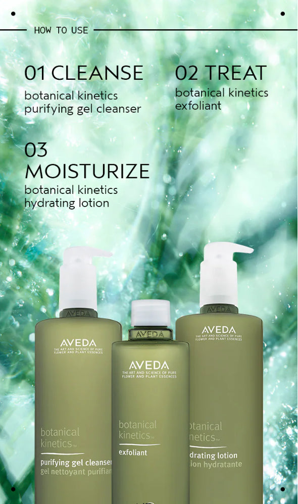 Aveda Botanical Kinetics Purifying Gel Cleanser