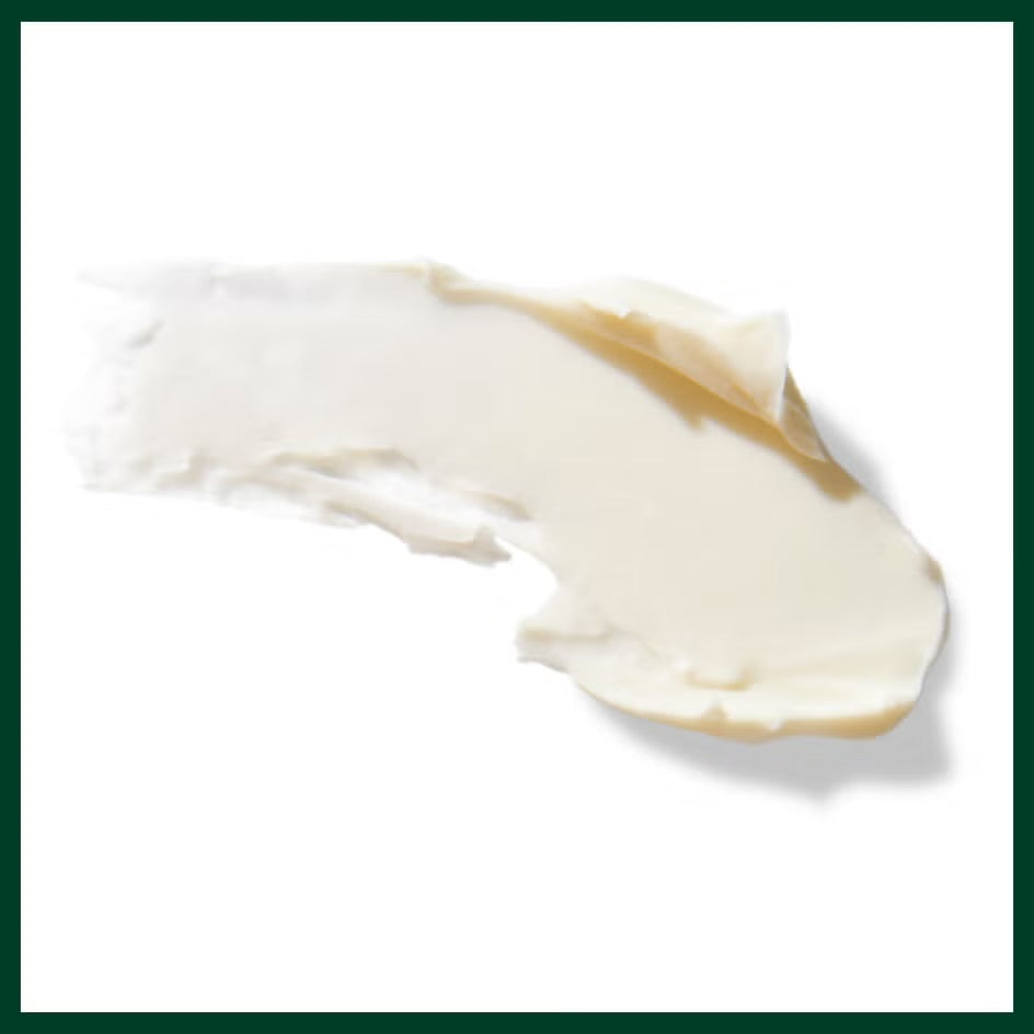 Aveda Men Pure-Performance Grooming Clay