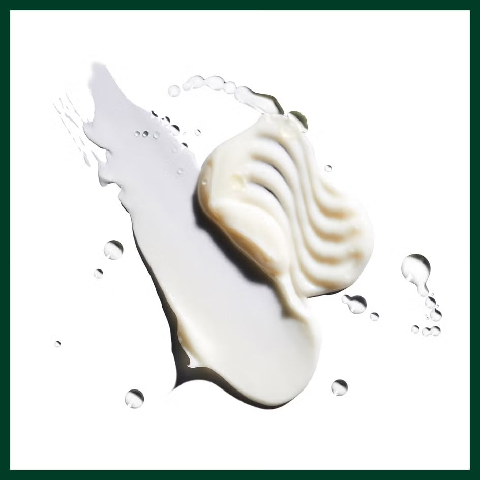 Aveda Nutriplenish™ Conditioner Deep Moisture