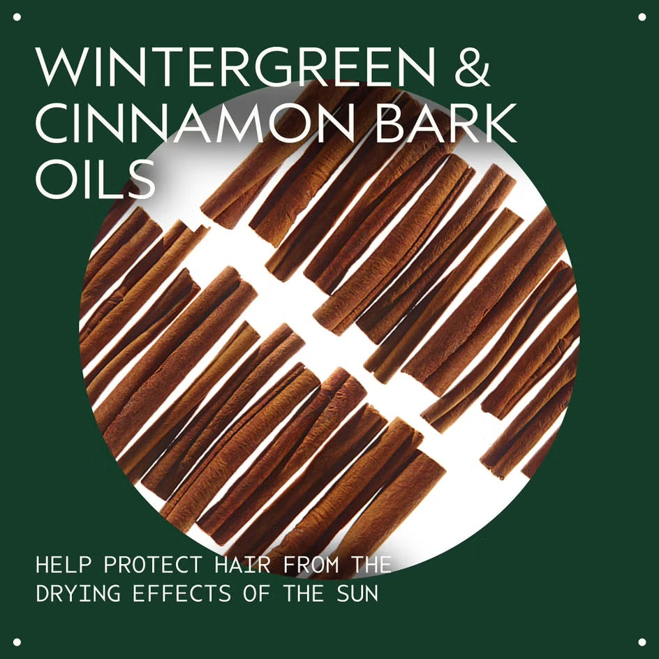 Aveda Sun Care Protective Hair Veil