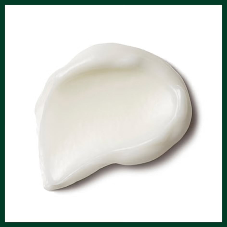 Aveda Nutriplenish™ Daily Moisturizing Treatment