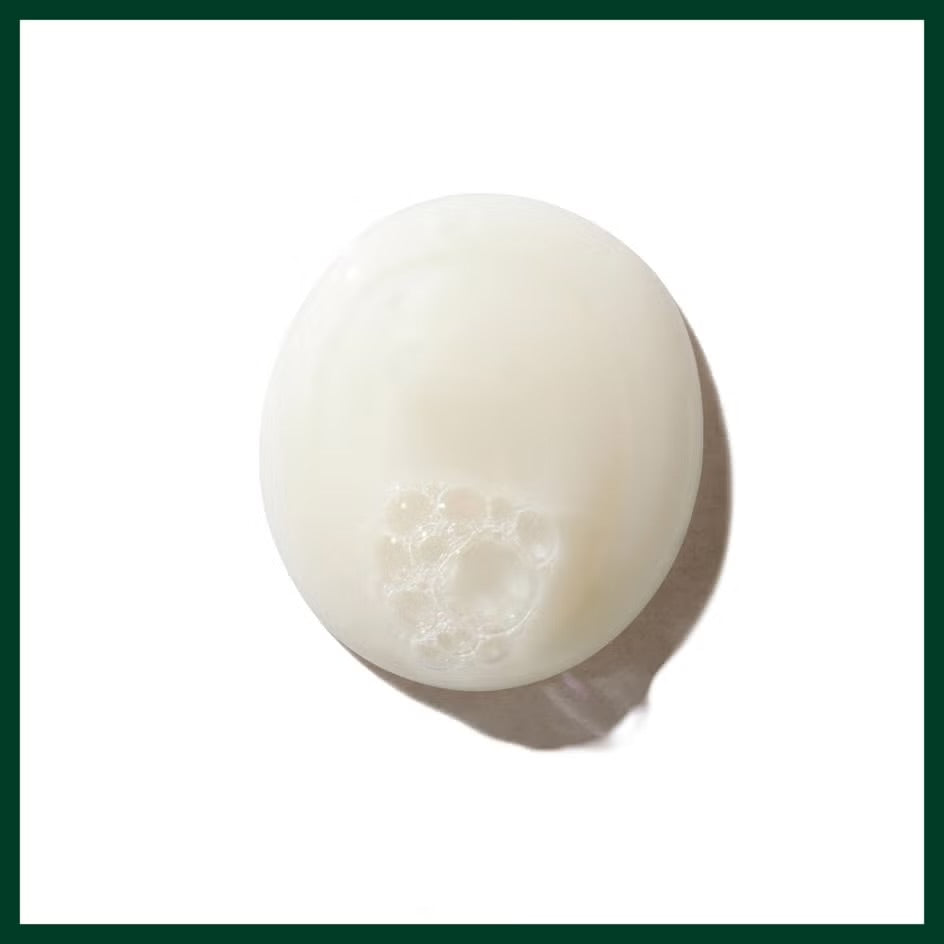 Aveda Be Curly Advanced Shampoo