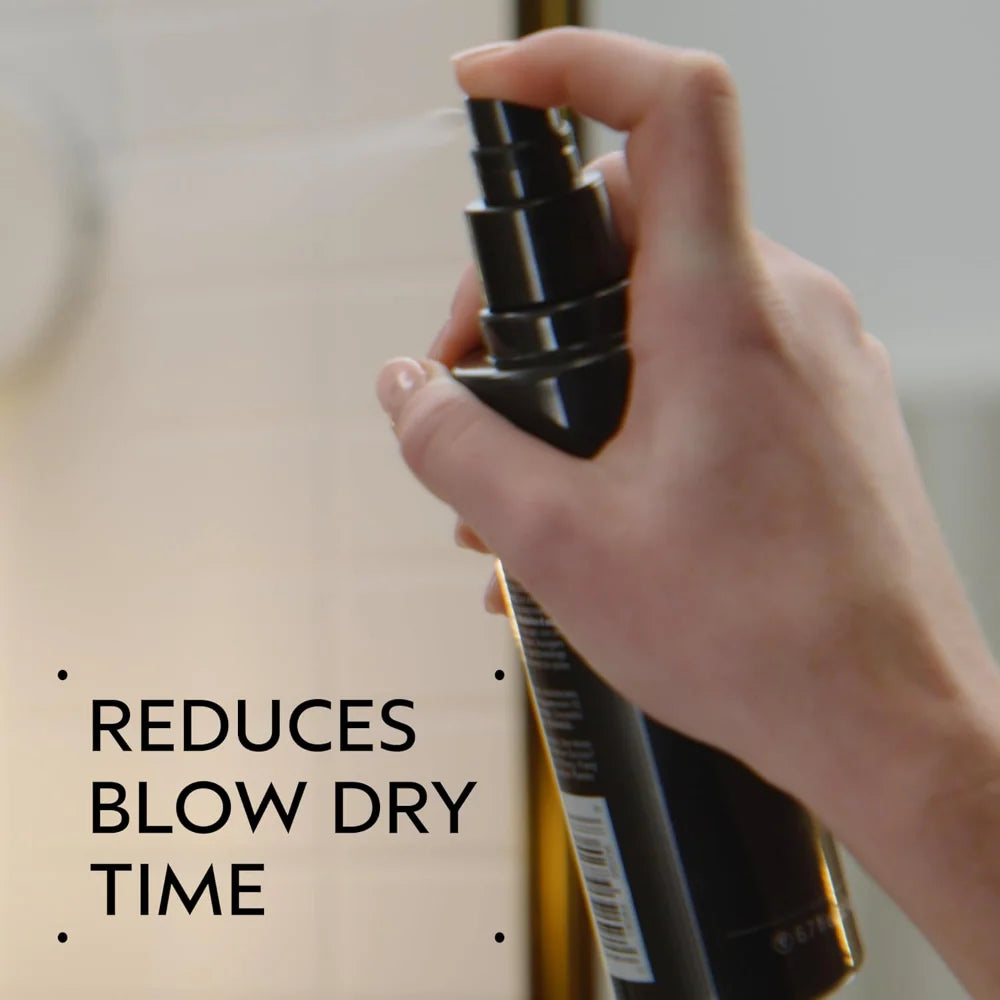 Aveda Speed Of Light Blow Dry Accelerator Spray