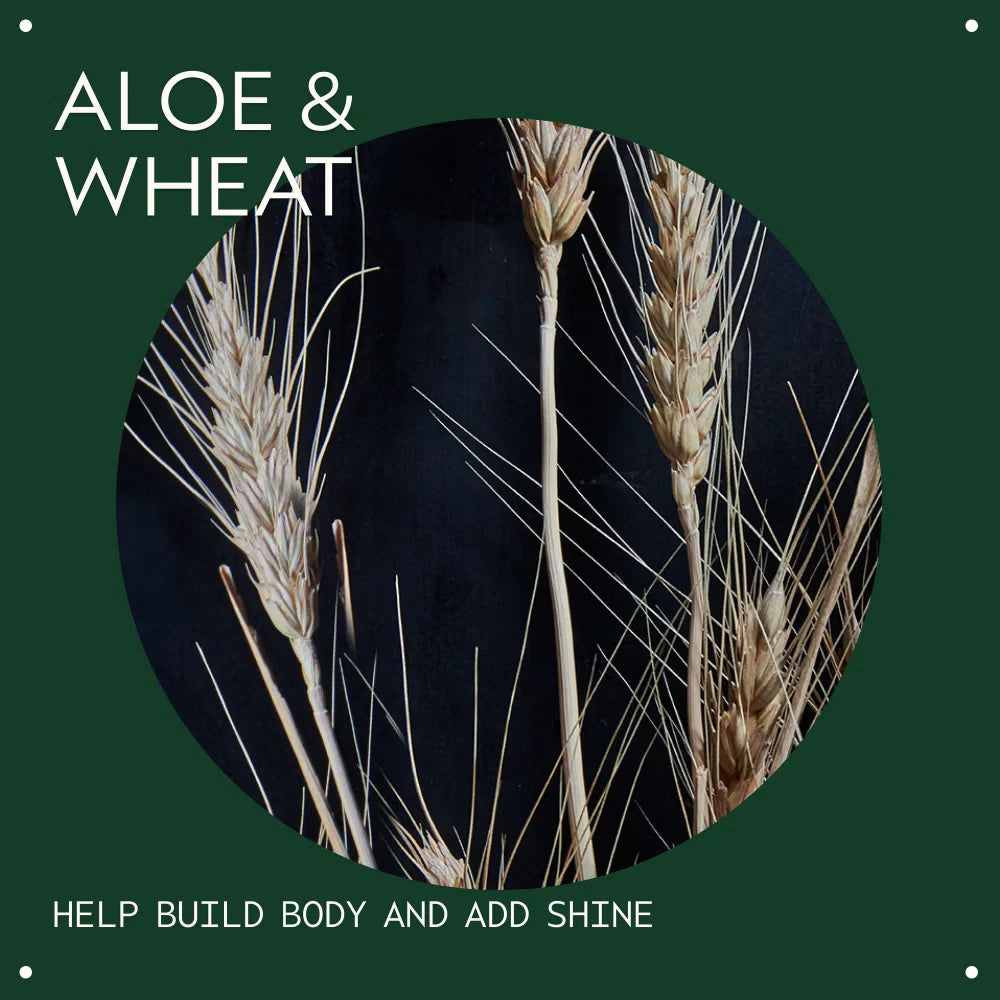 Aveda Volumizing Tonic